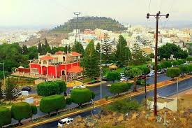 alula img